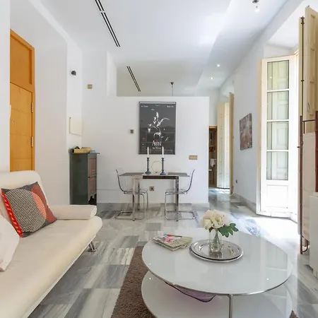 Con Vistas A La Plaza De La Merced Junto A La Casa De Picasso Lejlighed